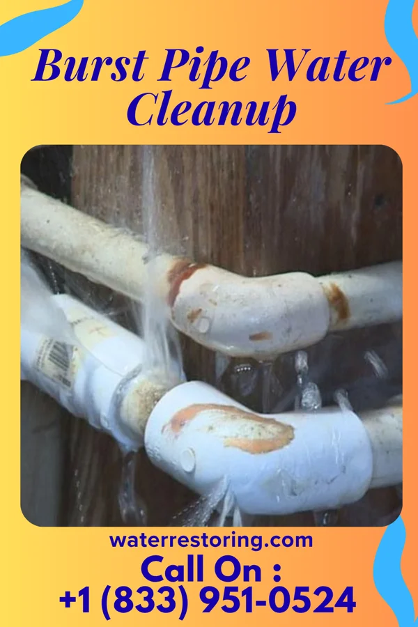 Burst Pipe Water Cleanup in Lake Grove, NY