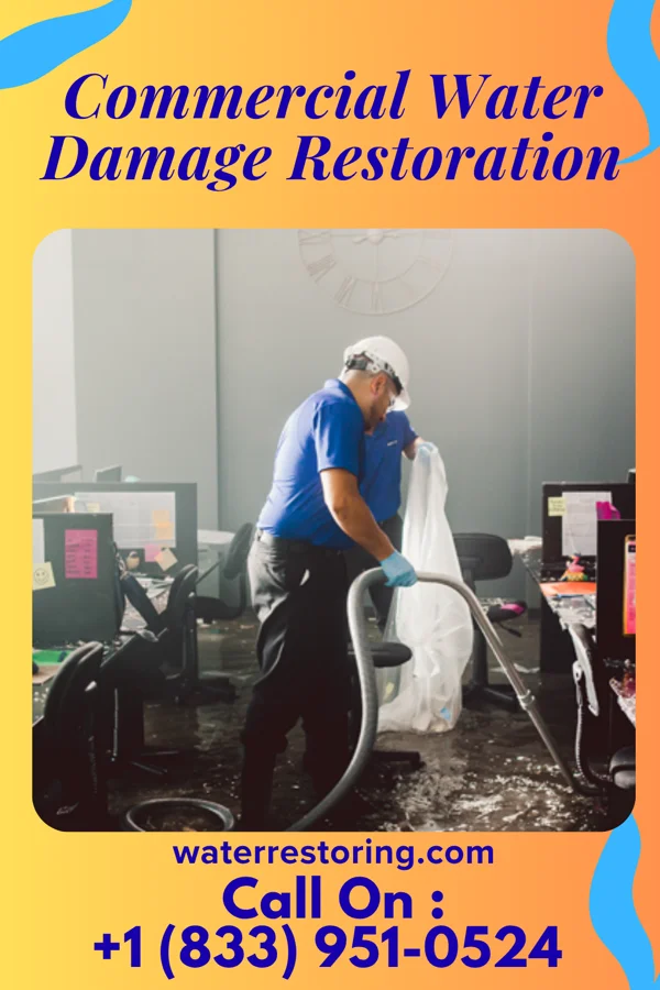Commercial Water Damage Restoration in Lake Grove, NY