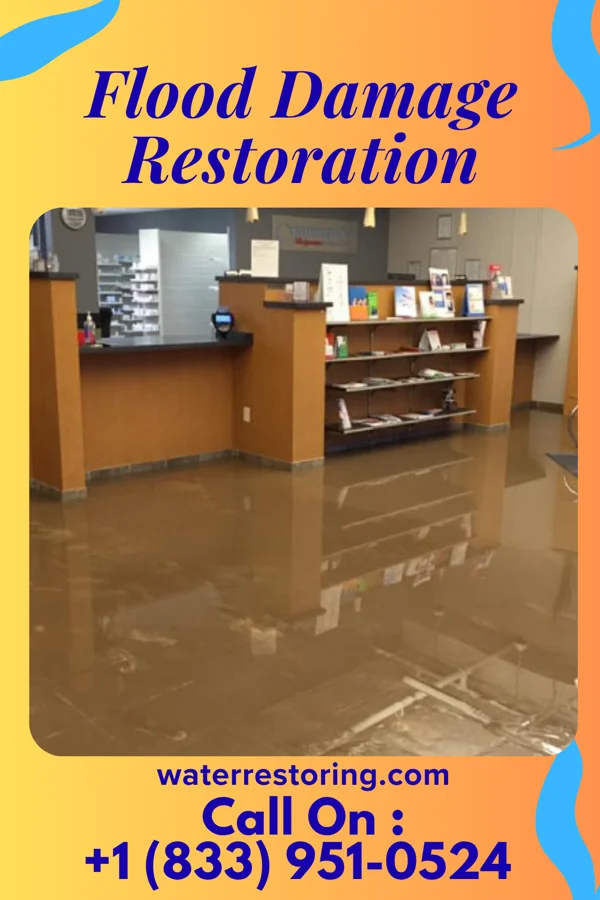 Flood Damage Restoration in Lake Grove, NY
