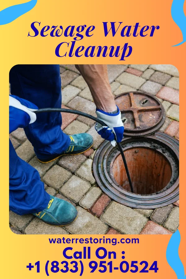Sewage Water Cleanup in Lake Grove, NY